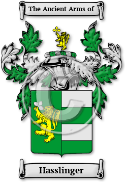 Hasslinger Family Crest Download (JPG) Legacy Series - 600 DPI