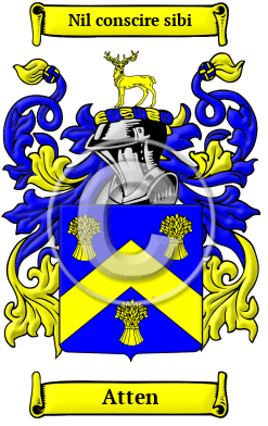 Atten Family Crest Download (JPG) Heritage Series - 600 DPI