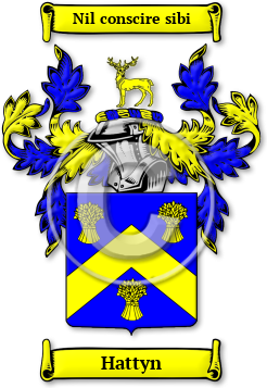 Hattyn Family Crest Download (JPG) Legacy Series - 600 DPI