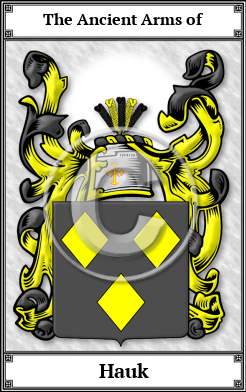 Hauk Family Crest Download (JPG) Book Plated - 600 DPI