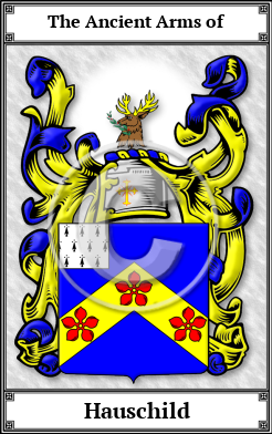 Hauschild Family Crest Download (JPG)  Book Plated - 150 DPI