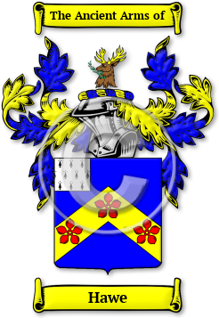Hawe Family Crest Download (jpg) Legacy Series - 150 DPI