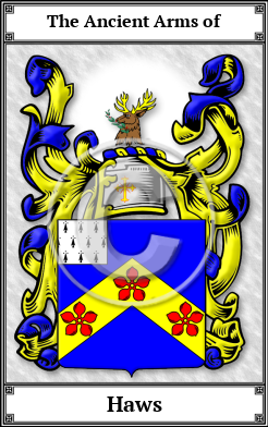 Haws Family Crest Download (JPG)  Book Plated - 150 DPI
