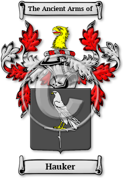 Hauker Family Crest Download (jpg) Legacy Series - 150 DPI