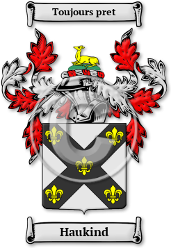 Haukind Family Crest Download (JPG) Legacy Series - 600 DPI
