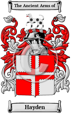 Hayden Family Crest Download (JPG) Heritage Series - 600 DPI