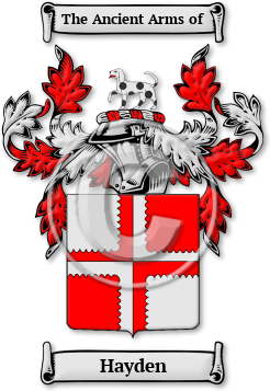 Hayden Family Crest Download (jpg) Legacy Series - 150 DPI