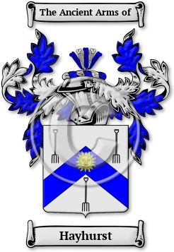 Hayhurst Family Crest Download (jpg) Legacy Series - 150 DPI