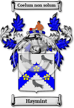 Haymint Family Crest Download (JPG) Legacy Series - 600 DPI