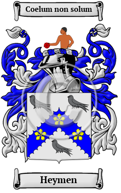 Heymen Family Crest/Coat of Arms