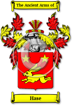 Hase Family Crest Download (JPG) Legacy Series - 600 DPI