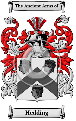 Hedding Family Crest Download (JPG) Heritage Series - 600 DPI