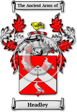 Headley Family Crest Download (JPG) Legacy Series - 300 DPI