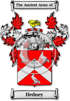 Hedney Family Crest Download (jpg) Legacy Series - 150 DPI