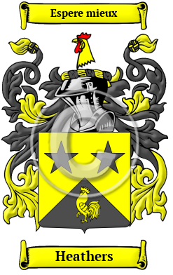 Heathers Family Crest/Coat of Arms