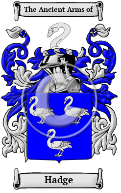 Hadge Family Crest Download (JPG) Heritage Series - 600 DPI