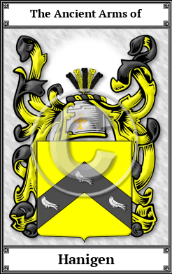 Hanigen Family Crest Download (JPG)  Book Plated - 150 DPI