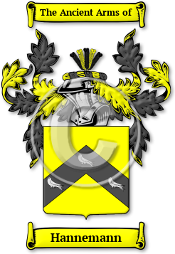 Hannemann Family Crest Download (JPG) Legacy Series - 600 DPI