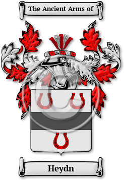 Heydn Family Crest Download (jpg) Legacy Series - 150 DPI