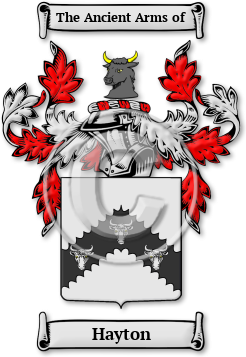 Hayton Family Crest Download (jpg) Legacy Series - 150 DPI
