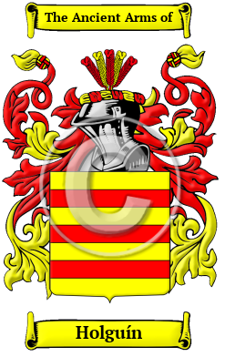 Holguín Family Crest Download (JPG) Heritage Series - 300 DPI