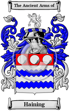 Haining Family Crest/Coat of Arms