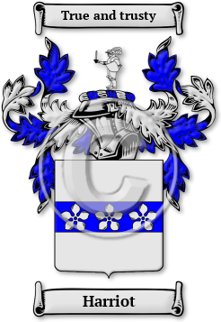 Harriot Family Crest Download (jpg) Legacy Series - 150 DPI