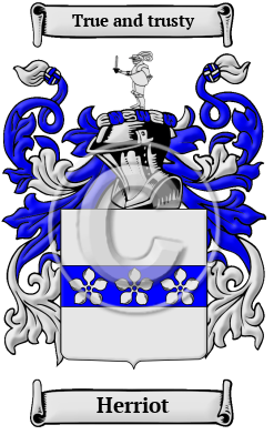 Herriot Family Crest/Coat of Arms