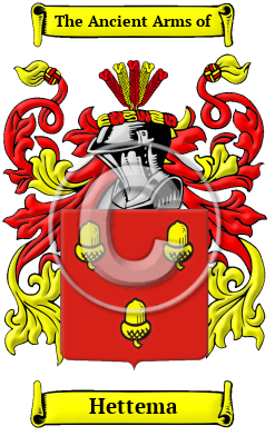 Hettema Family Crest Download (JPG) Heritage Series - 600 DPI