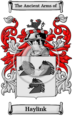 Haylink Family Crest/Coat of Arms