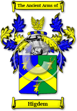 Higdem Family Crest Download (JPG) Legacy Series - 600 DPI
