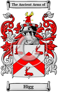 Higg Family Crest Download (JPG) Heritage Series - 600 DPI