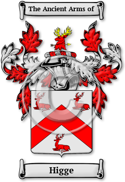 Higge Family Crest Download (jpg) Legacy Series - 150 DPI