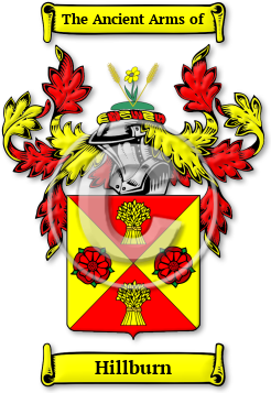 Hillburn Family Crest Download (jpg) Legacy Series - 150 DPI