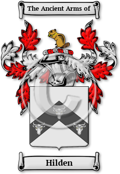 Hilden Family Crest Download (JPG) Legacy Series - 600 DPI