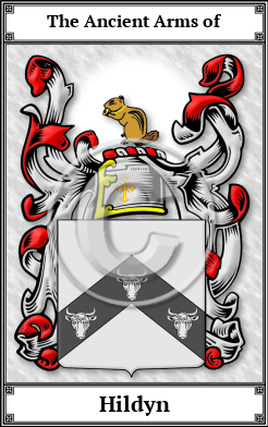 Hildyn Family Crest Download (JPG) Book Plated - 600 DPI