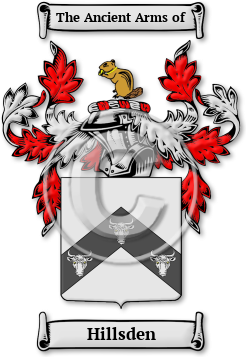 Hillsden Family Crest Download (jpg) Legacy Series - 150 DPI