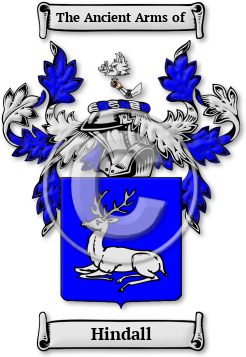 Hindall Family Crest Download (jpg) Legacy Series - 150 DPI