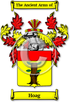 Hoag Family Crest Download (JPG) Legacy Series - 600 DPI