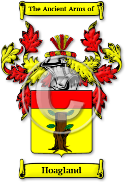 Hoagland Family Crest Download (jpg) Legacy Series - 150 DPI
