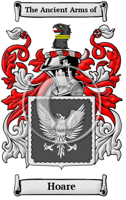 Hoare Family Crest Download (JPG) Heritage Series - 600 DPI
