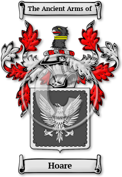 Hoare Family Crest Download (jpg) Legacy Series - 150 DPI