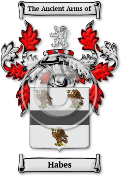 Habes Family Crest Download (jpg) Legacy Series - 150 DPI