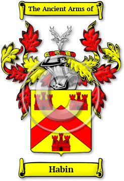 Habin Family Crest Download (jpg) Legacy Series - 150 DPI