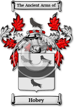 Hobey Family Crest Download (jpg) Legacy Series - 150 DPI