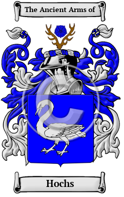 Hochs Family Crest Download (JPG) Heritage Series - 600 DPI