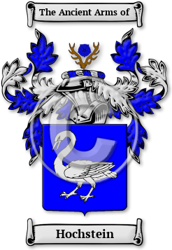 Hochstein Family Crest Download (JPG) Legacy Series - 600 DPI