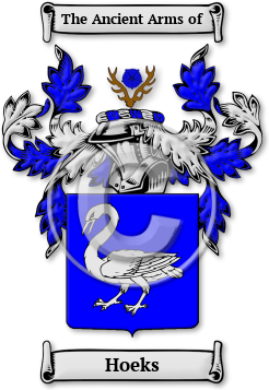 Hoeks Family Crest Download (jpg) Legacy Series - 150 DPI