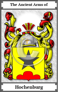 Hochenburg Family Crest Download (JPG)  Book Plated - 150 DPI