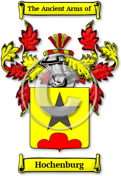 Hochenburg Family Crest Download (jpg) Legacy Series - 150 DPI
